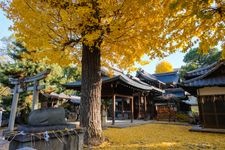 Tourist destination images of Mikaguramiya Shrine(5)