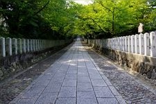 Tourist destination images of Mukō Jinja Shrine(1)