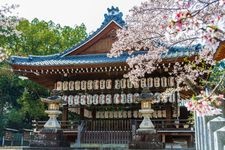 Tourist destination images of Mukō Jinja Shrine(3)