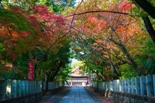 Tourist destination images of Mukō Jinja Shrine(4)