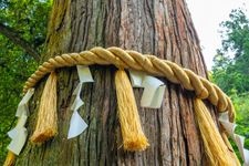Tourist destination images of Yuki Shrine(1)