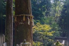 Tourist destination images of Yuki Shrine(3)