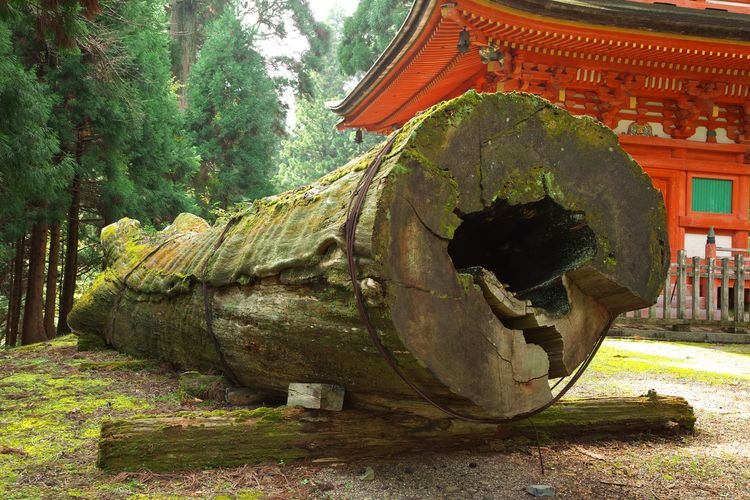 Nagusa Shrine