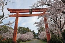 Tourist destination images of Yasaka Shrine(1)