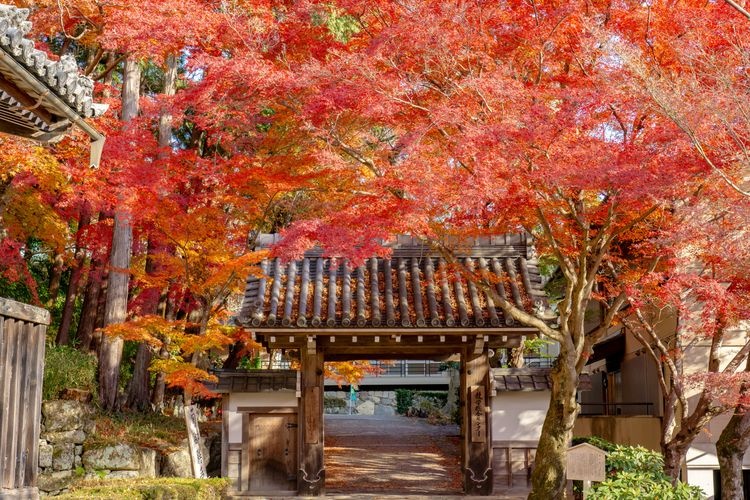 Tourist destination images of Saikyoji Temple(2)