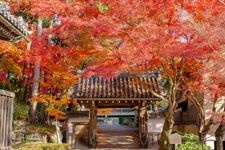 Tourist destination images of Saikyoji Temple(2)