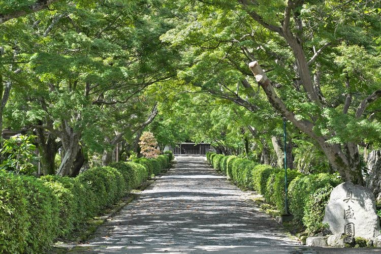 Saikyoji Temple