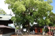 与贺神社的旅游景点图片(2)