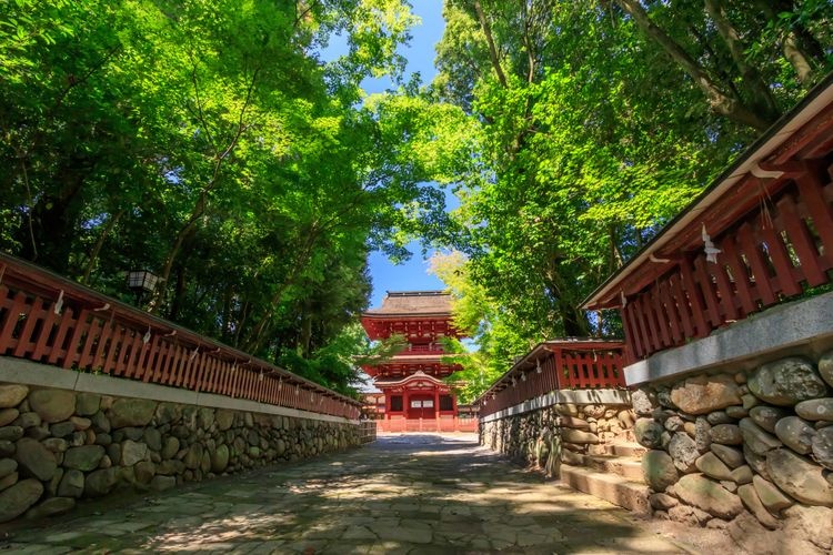 Tourist destination images of Komo Jinja Shrine(2)