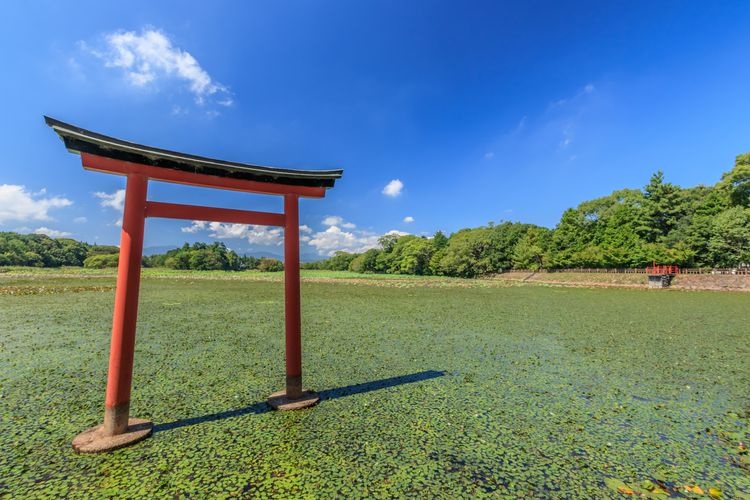 Tourist destination images of Komo Jinja Shrine(3)