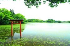 Tourist destination images of Komo Jinja Shrine(5)