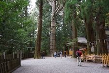 高千穗神社的旅游景点图片(2)