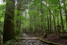 Tourist destination images of Nikko Futarasan Shrine(1)