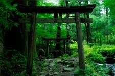 Tourist destination images of Takio Jinja Shrine(2)