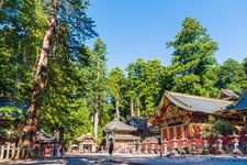 Tourist destination images of Nikko Toshogu Shrine(5)