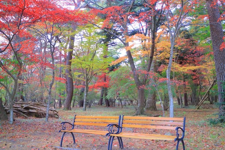 Tourist destination images of Matsuyashiki(2)