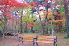 Tourist destination images of Matsuyashiki(2)