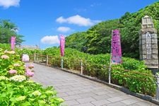 Tourist destination images of Kotayama Park(2)