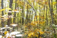 Tourist destination images of Kiyotazawa Stream(4)