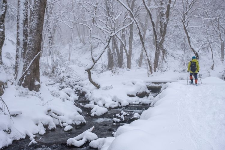 Kiyotazawa Stream
