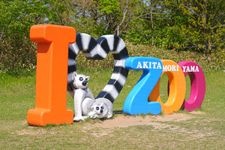 Tourist destination images of Akita City Oomoriyama Zoo(1)
