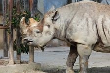 Tourist destination images of Hitachi Kamine Zoo(1)