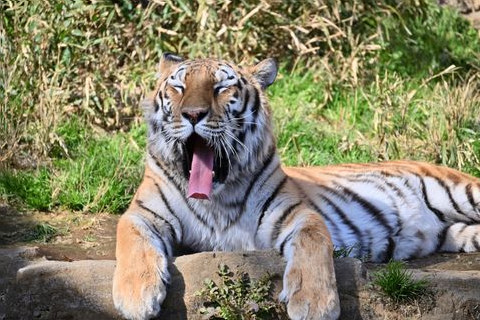 多摩動物公園