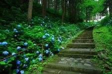 Tourist destination images of Tendaiji Temple(1)