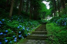 Tourist destination images of Tendaiji Temple(3)