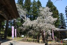 Tourist destination images of Houyouji Temple(1)