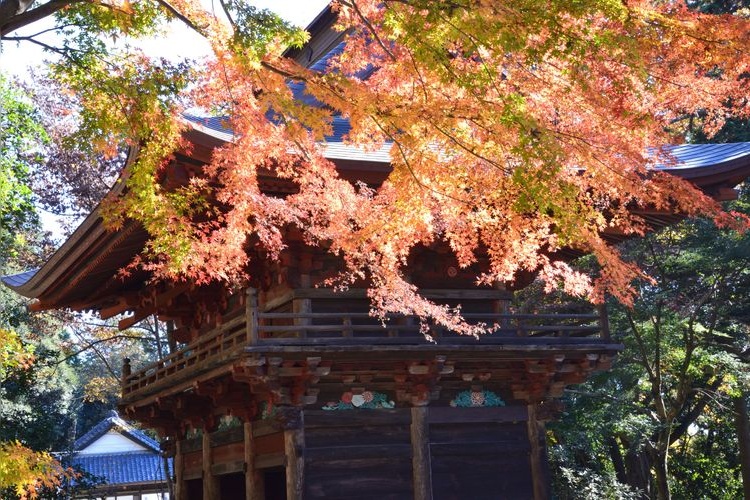 Tourist destination images of Koya-dera Temple(4)