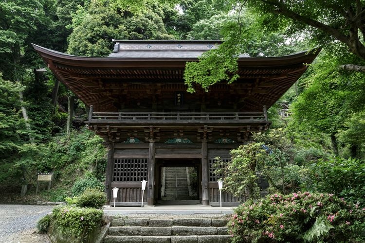 Tourist destination images of Koya-dera Temple(3)