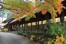 Tourist destination images of Kuhayama Daioji Temple(2)