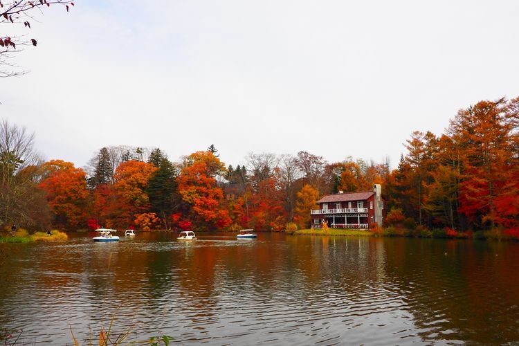 Karuizawa Taliesin 3