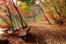 Tourist destination images of Karuizawa Taliesin(2)