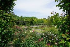 Tourist destination images of Karuizawa Lake Garden(1)