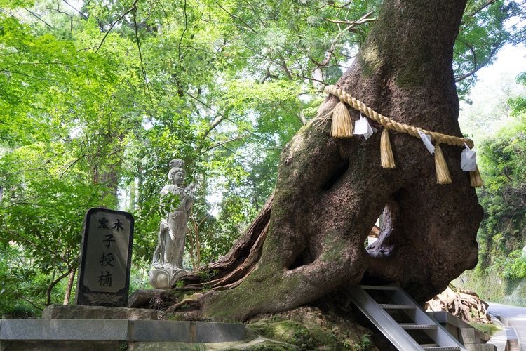 Kasamori Kannon (Kasamori Temple)