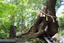 Tourist destination images of Kasamori Kannon (Kasamori Temple)(1)