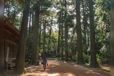 Tourist destination images of Iitaka-ji Temple(1)