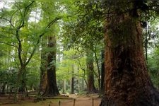 Tourist destination images of Iitaka-ji Temple(3)