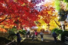 Tourist destination images of Saijoji Temple(9)