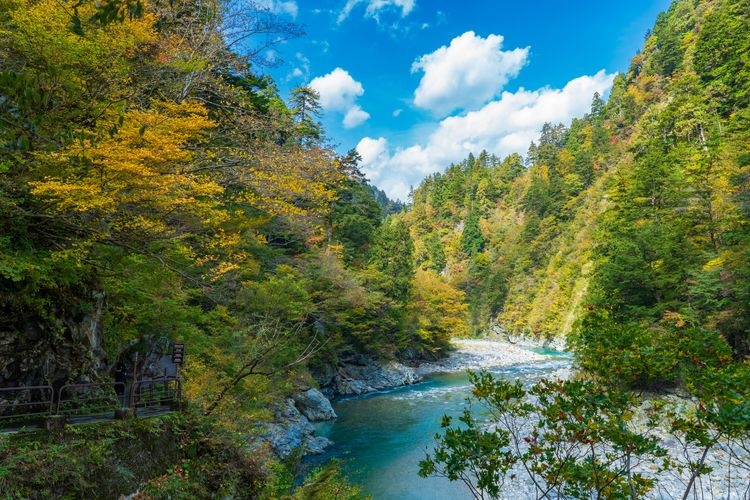 Sarutobi Gorge