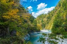 Tourist destination images of Sarutobi Gorge(1)