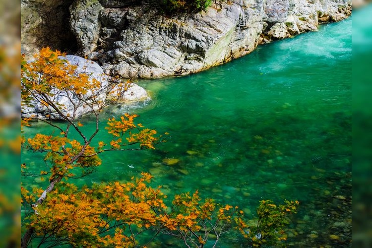 Tourist destination images of Sarutobi Gorge(2)
