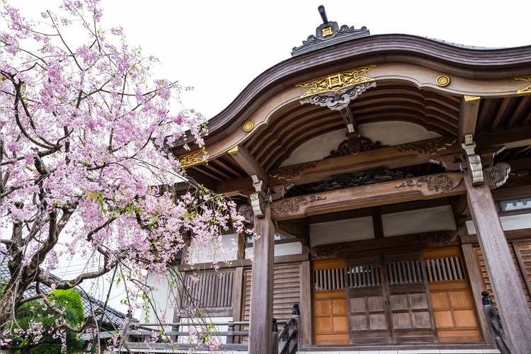 Tourist destination images of Hōkekyōji Temple(2)