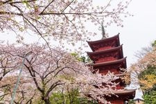 Tourist destination images of Hōkekyōji Temple(2)