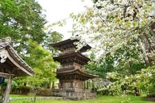 Tourist destination images of Otpo-ji Temple(1)
