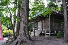 Tourist destination images of Rengehoji Temple(1)