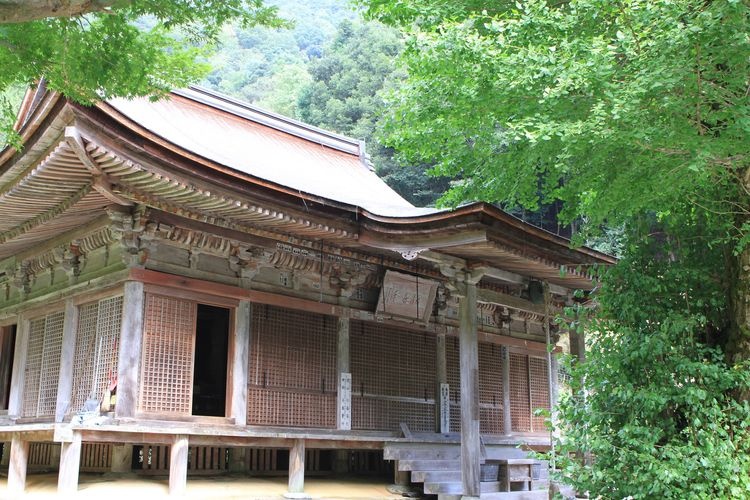 Hōjūzan Haga-dera Temple