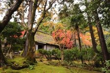 Tourist destination images of Wakasa Jinguji Temple(2)